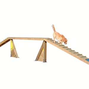 ATELIER Éduc' Canin "PASSERELLE"