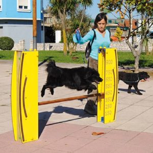 ATELIER Éduc' Canin "saut en HAUTEUR"