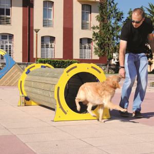ATELIER Éduc' Canin "tunnel"