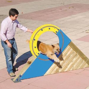 ATELIER Éduc' Canin "la roue"