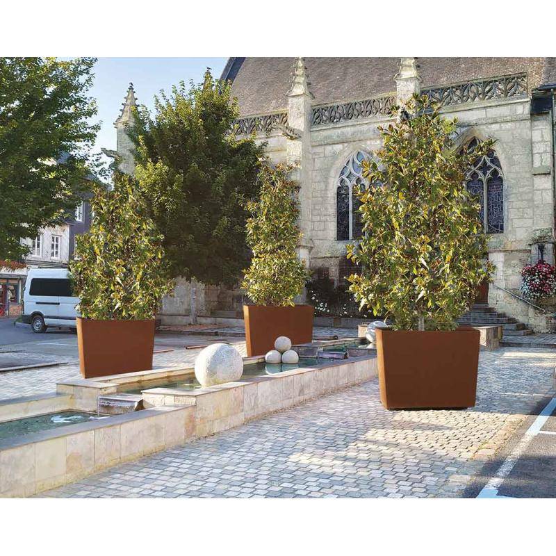 BAC à PALMIER XL – Image 2