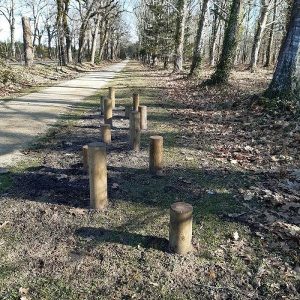 PARCOURS DE santé atelier PAS DE GEANT