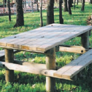 Table de pique-nique forestière